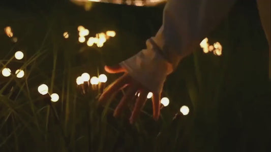 Garden Lights